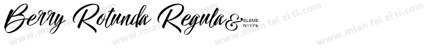 Berry Rotunda Regula字体转换